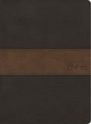 Span-RVR 1960 Spurgeon Study Bible (Biblia de Estudio Spurgeon)-Black/Brown Imitation Leather