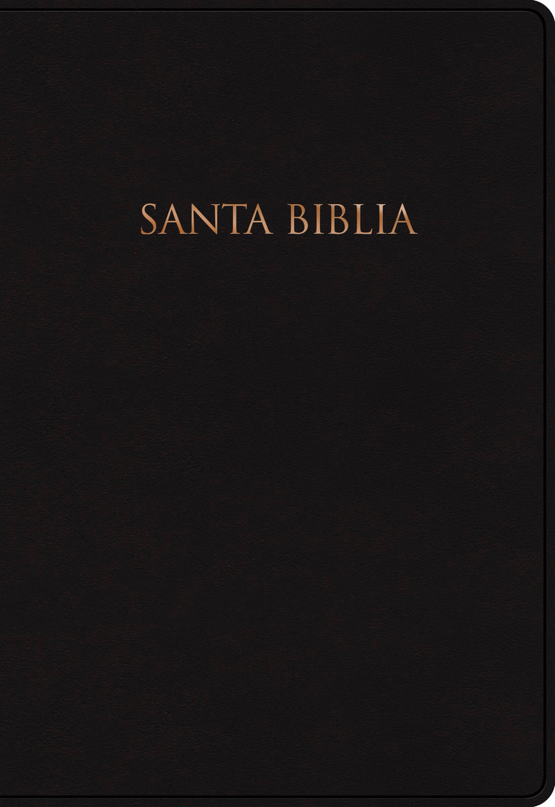 Span-NIV Gift And Award Bible (Biblia Para Regalos Y Premios)-Black Hardcover