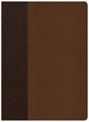 CSB Life Essentials Study Bible-Brown LeatherTouch Indexed