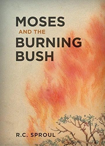 Moses And The Burning Bush