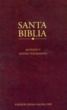 Santa Biblia - paperback