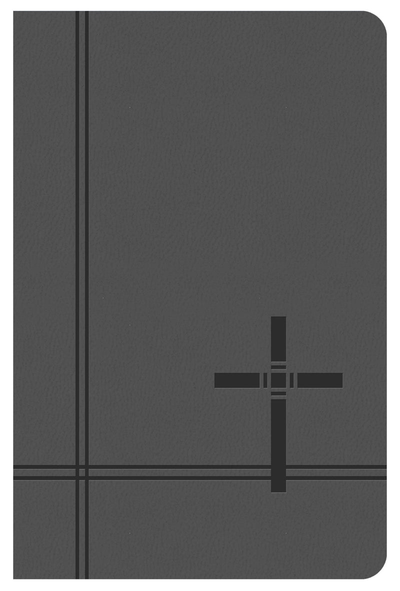 KJV Deluxe Gift & Award Bible-Gray DiCarta