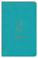 De Message Deluxe Cadeaubijbel (Leer-L)