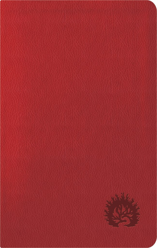 ESV Reformation Study Bible: Condensed Edition-Red LeatherLike