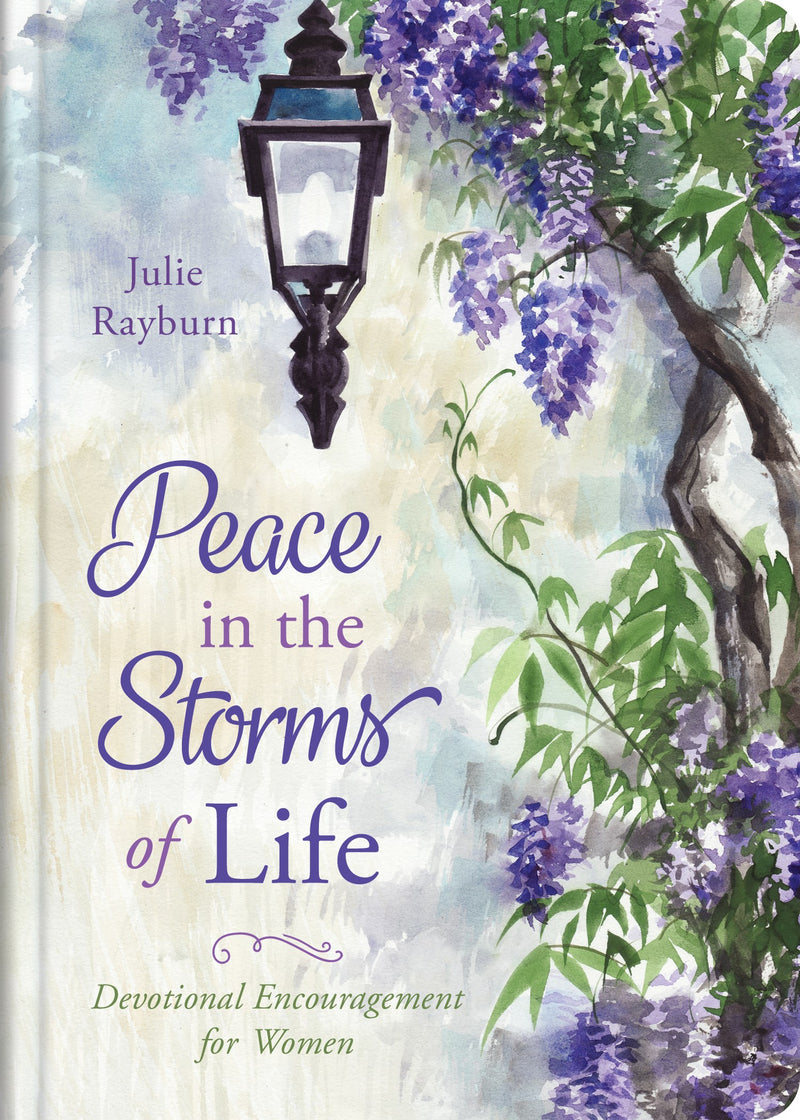 Peace In The Storms Of Life