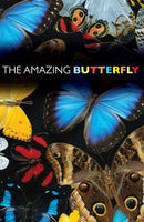 Tract-The Amazing Butterfly (NIV) (Pack Of 25)