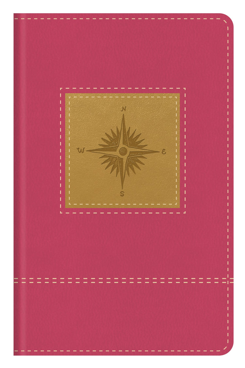 KJV Go-Anywhere Study Bible-Primrose Compass Softcover