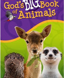 God's Big Book Of Animals